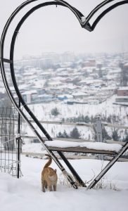 A cat stands by a snow-covered heart sculpture overlooking the town of Ardahan, Turkey.